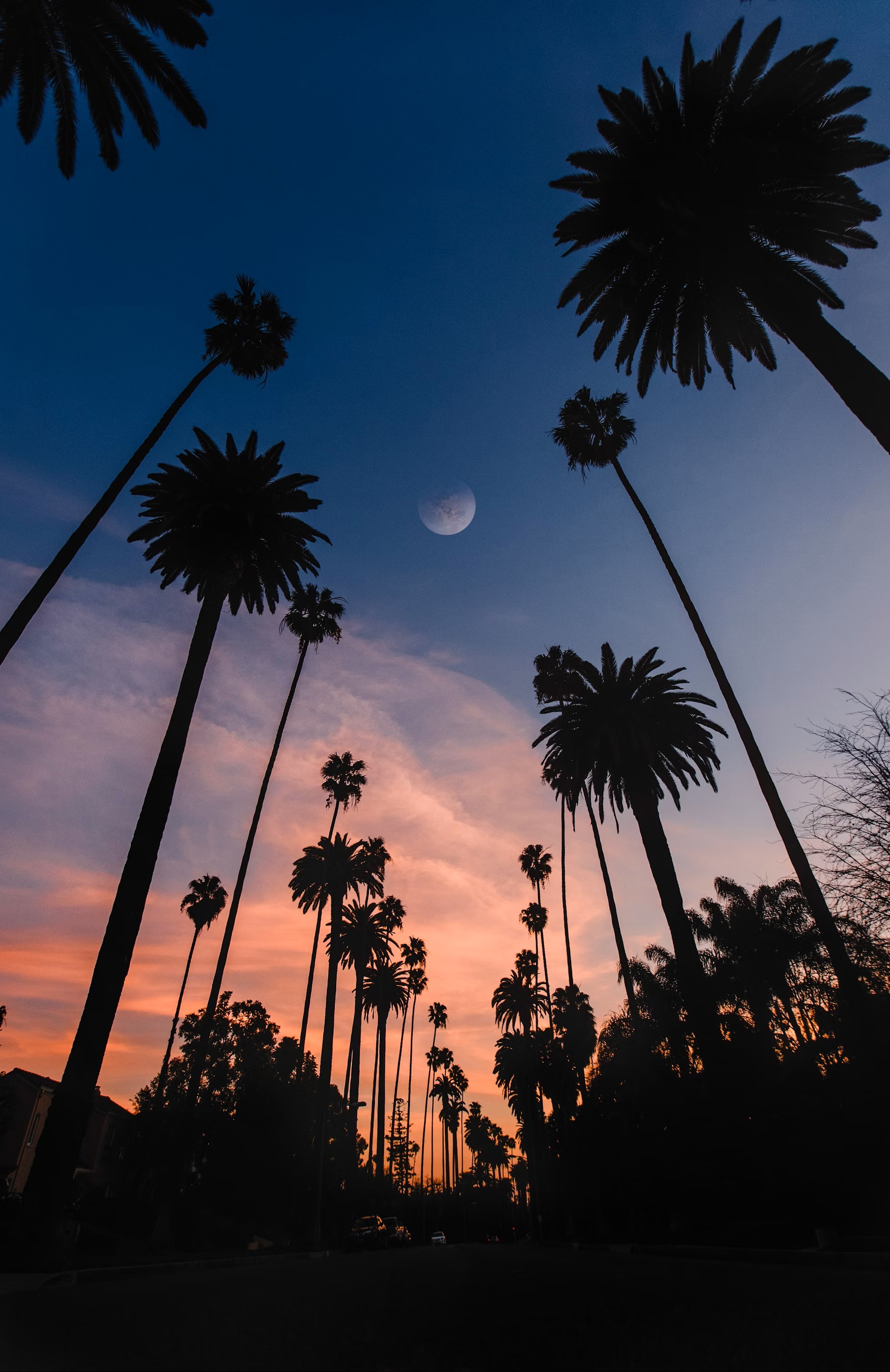 Los Angeles